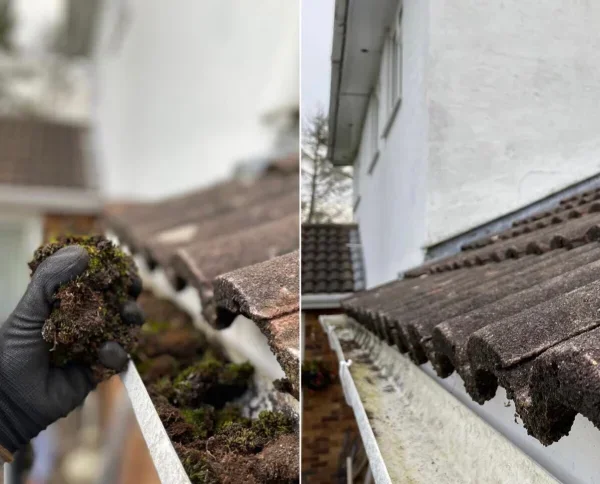 Gutter Cleared Before and After